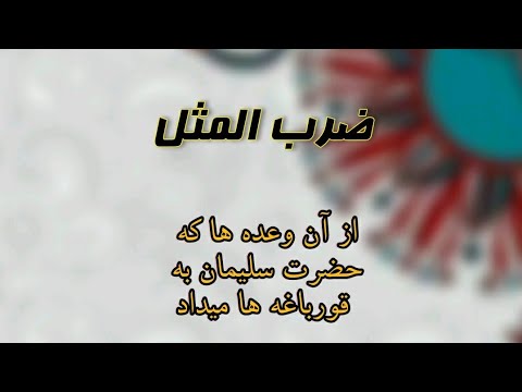 From the promises that Solomon made to the frogs Proverb