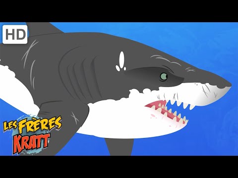 Les requins et autres créatures marines [épisodes complets] Les Frères Kratt