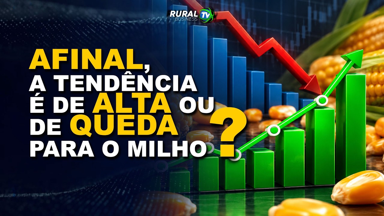 AFINAL, A TENDÊNCIA É DE ALTA OU DE QUEDA PARA O MILHO?