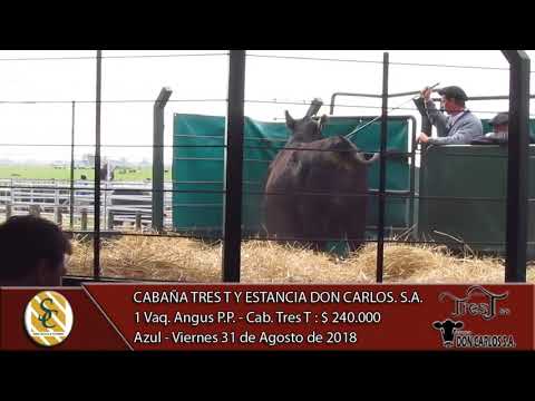 31-08-18 Venta de Vientres Angus P.P. y P.C. - Cabaña Tres T y Est. Don Carlos S.A. - Azul