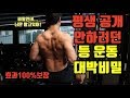 {효과보장} 평생 공개안하려던 '등운동' 대박비밀