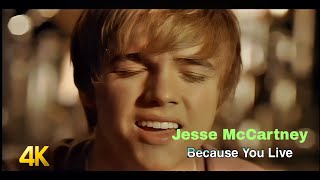 Jesse McCartney - Because You Live  (Ost. The Princess Diaries 2: Royal Engagement)