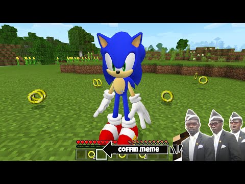 I found the Real Sonic in Minecraft - Coffin Meme