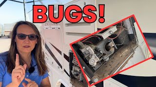 Spring Maintenance Essentials 2025: What You NEED to Know