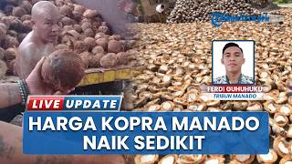 Sambutan Positif Petani seusai Harga Kopra di Manado Naik Sedikit jadi Rp 17 300 per Kilogram