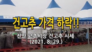 건고추가격 하락! 진안 고추시장 건고추 시세 알려드립니다. 20210829