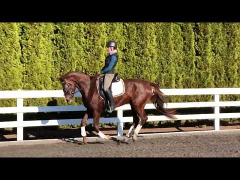 Wradiant by Livaldon - 2016 Mare