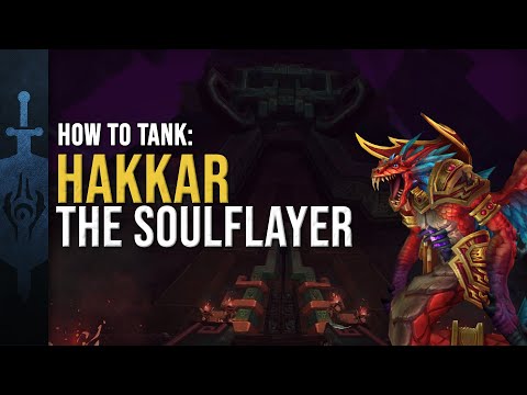 How to Tank: Hakkar the Soulflayer | De Other Side