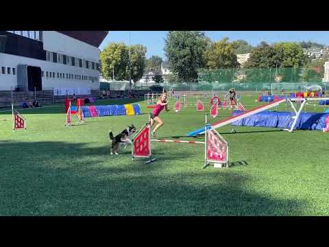 Czech agility Championship 2023