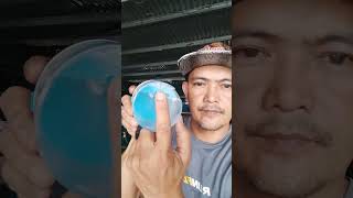 INTELLIGENT TIMING AUTOMATIC FEEDER
