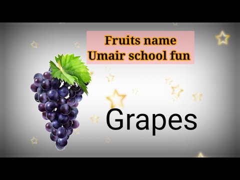 Fruits name with spelling/basics umair school fun /fruits name