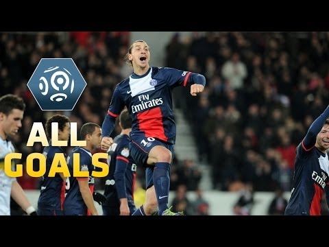 Ligue 1 - Week 17 : Goals compilation - 2013/2014