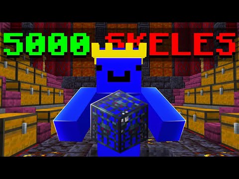 I Raided 5000 SKELLIES On DonutSMP...