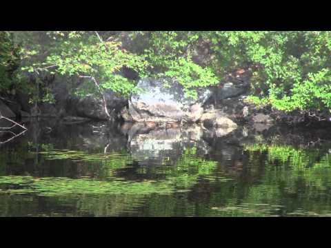 Harvard, MA September 2015