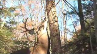 preview picture of video 'Deer  Behavior part 2 -Deer and Deer Hunting .com'