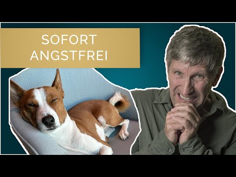 Geheimtipp - Schnell aus der Angst