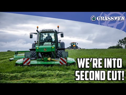 DONKEYCAM - We're into second cut!