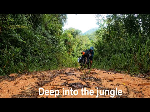 BIKEPACKING BORNEO | VLOG 70 🇧🇳🇲🇾