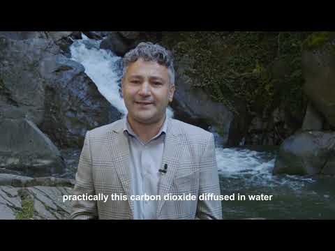 Povestea izvoarelor din Transilvania: COVASNA - Tratamente unice, mofete și 1000 de izvoare minerale