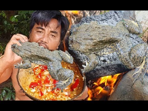 Primitive Technology - roasted frog on rock- cooking frog eating delicious