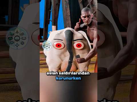 İneklerin Arkasına Neden Devasa Gözler Çizildi? 🐄👁️😱