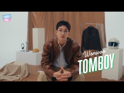 Wonwoo | 250402 Tomboy (cover) fan-made MV
