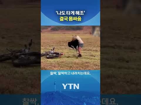 오토바이 길막한 타조의 최후 #shorts / YTN