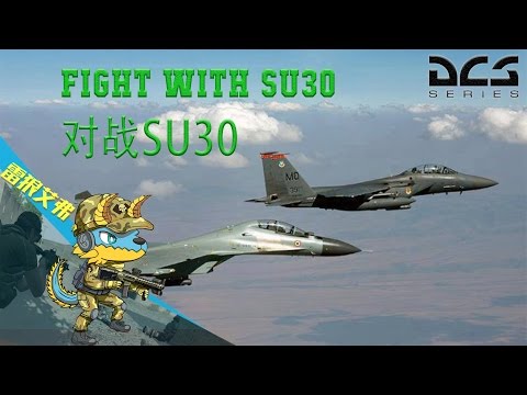 DCS:F-15C-VS Su30