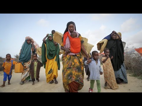 UN goals in the fight against hunger are becoming more distant