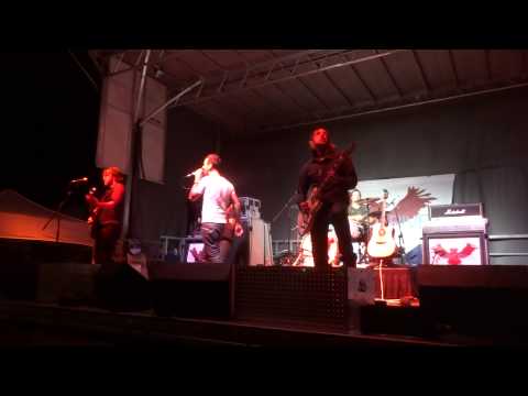 Dorydrive Perfect Chemical