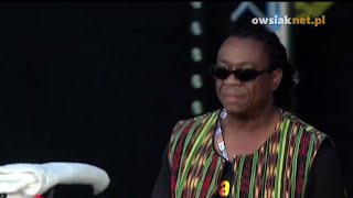 Third World - Mr Reggae Ambassador (Live at Woodstock 2013 HD)