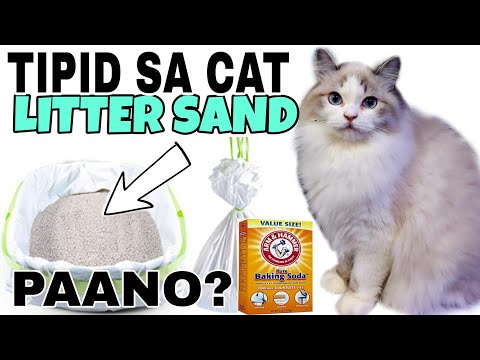 PAANO MAKATIPID SA CAT LITTER | HOW TO SAVE A CAT LITTER SAND