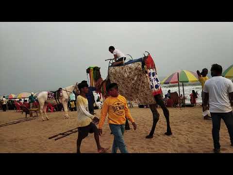 SPARSH || Riding on Camel at Puri Beach