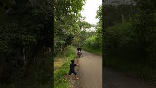 Download lagu Kang Daot fell because of Moses#shorts #comedy mp3