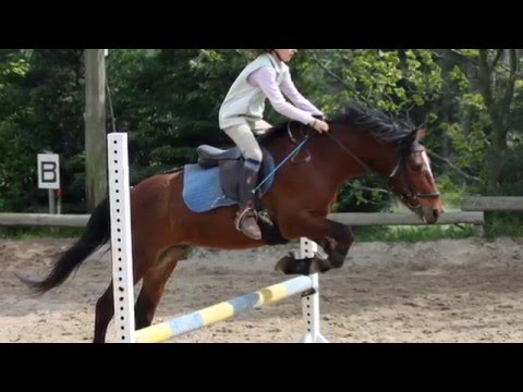 Elsa et camille photo video poneys.wmv