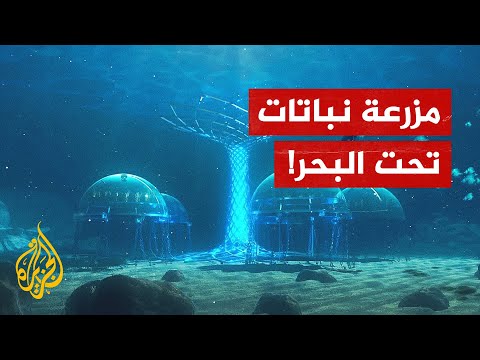 مزرعة نباتات تحت الماء