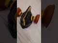 Larry Boy S Helmet Version 2 0