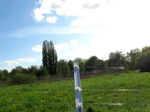 Brazilian pirates on Fltsatcom 8, 255.55 MHz