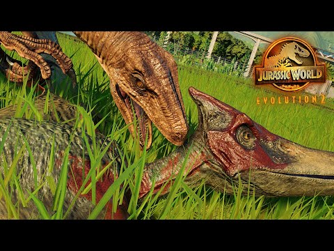 RAPTORS ATTACK PTEROSAURS?! Pterosaur And Dinosaur Interactions In Jurassic World Evolution 2
