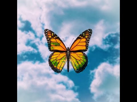 Young D, @kbpelalien - Modo Avion ( Audio Oficial )