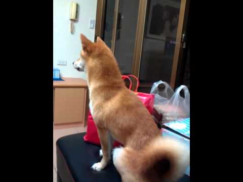 長大了連歌聲都不一樣了(原發表者:DuckSu)(綜合討論)