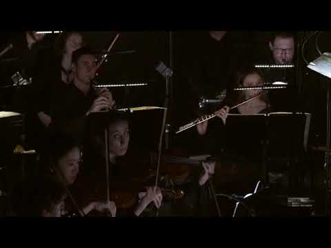 Die Fledermaus Overture - Johann Strauss - Lucie Leguay