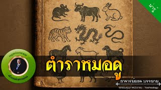 อาจารย์ยอด : ตำราหมอดู [น่ารู้]