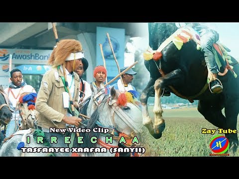 Ethiopian Music /New Oromo Traditional Music IRREECHAA by Tasfaayee Xaafaa(Sanyii) 2019 Video