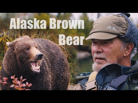 RIVER BEAR | 4K ALASKA BROWN BEAR HUNT 2023