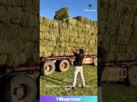 Are These Guys Powered by ROCKET FUEL?! 🤯 That Hay Bale Throw is Next Level! #farming #strong