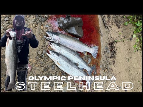 Steelhead fishing on the Olympic Peninsula 