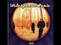 Widespread Panic -Thin Air (Smells Like Mississippi)