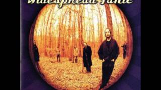 Widespread Panic -Thin Air (Smells Like Mississippi)