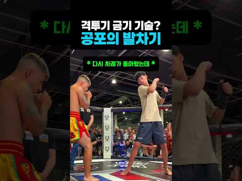 격투기 금기 기술? 공포의 발차기 #운동 #훈련 #무에타이 #주짓수 #태권도 #격투기 #킥복싱 #쿵푸 #스파링 #호신술 #ufc #mma #복싱